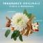 Moroccanoil Shower Gel Fragrance Originale 250 ml 7290113145191 by Moroccanoil