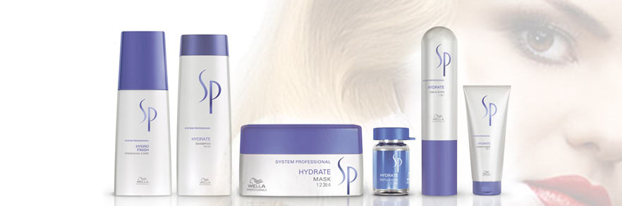 wella system professional hydrate banner