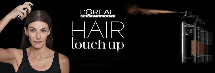 l'orèal Hair Touch Up