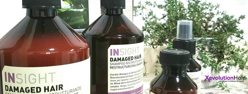 insight capelli danneggiati